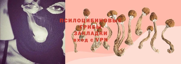 сатива Богородицк