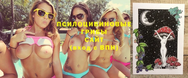 СК Бронницы