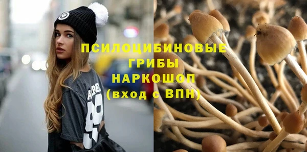 сатива Богородицк