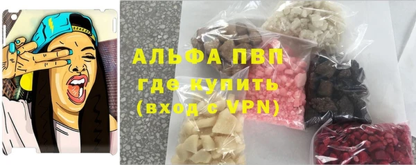 сатива Богородицк