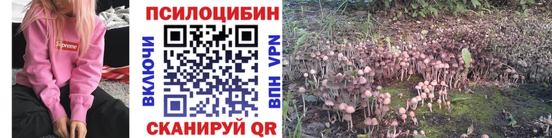 Купить закладки  Собинка  Псилоцибиновые грибы MAGIC MUSHROOMS 